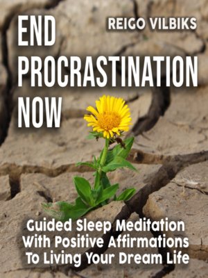 cover image of End Procrastination Now